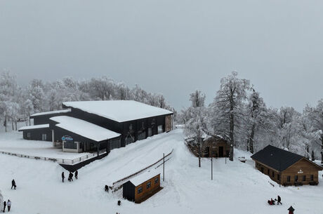 KUZUYAYLA TABİAT PARKI KARTEPE TURU