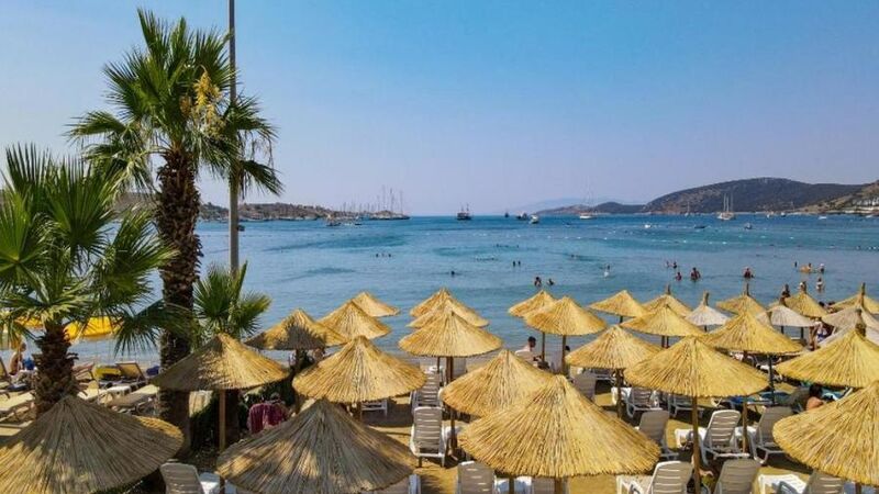 Leo Beach Resort +16
