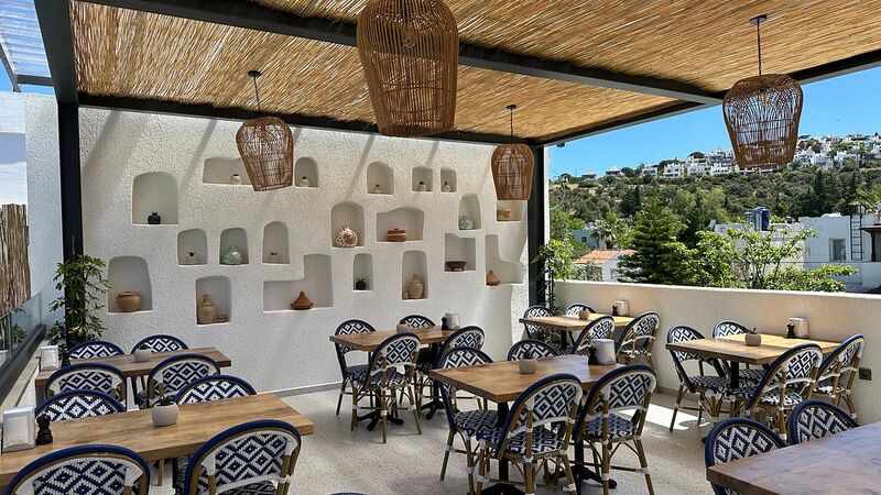 PALOMA FAMİLY