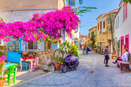 EGE MASALI YÜZME MOLALI 1 GECE 2 GÜN ALAÇATI - ÇEŞME - KUŞADASI - ŞİRİNCE TURU