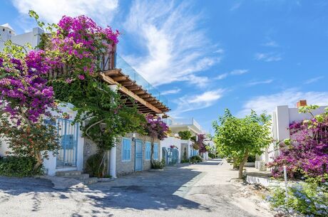 EGE MASALI YÜZME MOLALI 1 GECE 2 GÜN ALAÇATI - ÇEŞME - KUŞADASI - ŞİRİNCE TURU