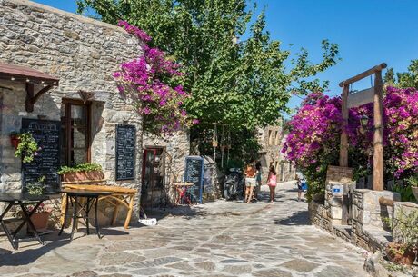 EGE MASALI YÜZME MOLALI 2 GECE 3 GÜN ALAÇATI - ÇEŞME - KUŞADASI - ŞİRİNCE TURU