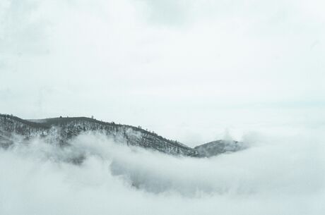 KUZUYAYLA TABİAT PARKI KARTEPE TURU