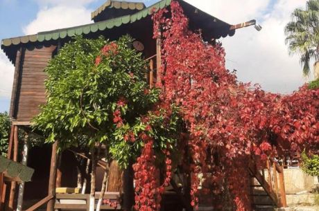 Olympos - Adrasan  Turu 3 Gece 4 gün ( 3 Gece Konaklamalı )